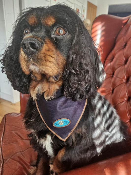 NOIR LE BRONZE COOLING BANDANNA