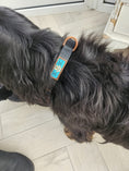 Load image into Gallery viewer, NOIR LE BRONZE LUXURY PADDED PRINTED COLLAR
