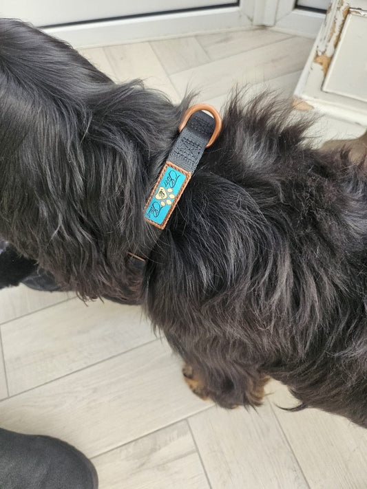 NOIR LE BRONZE LUXURY PADDED PRINTED COLLAR