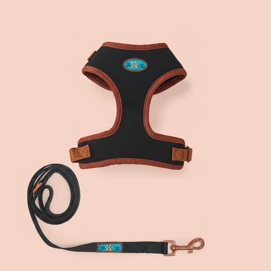 NOIR LE BRONZE ADJUSTABLE LUXURY PADDED HARNESS DUO SET