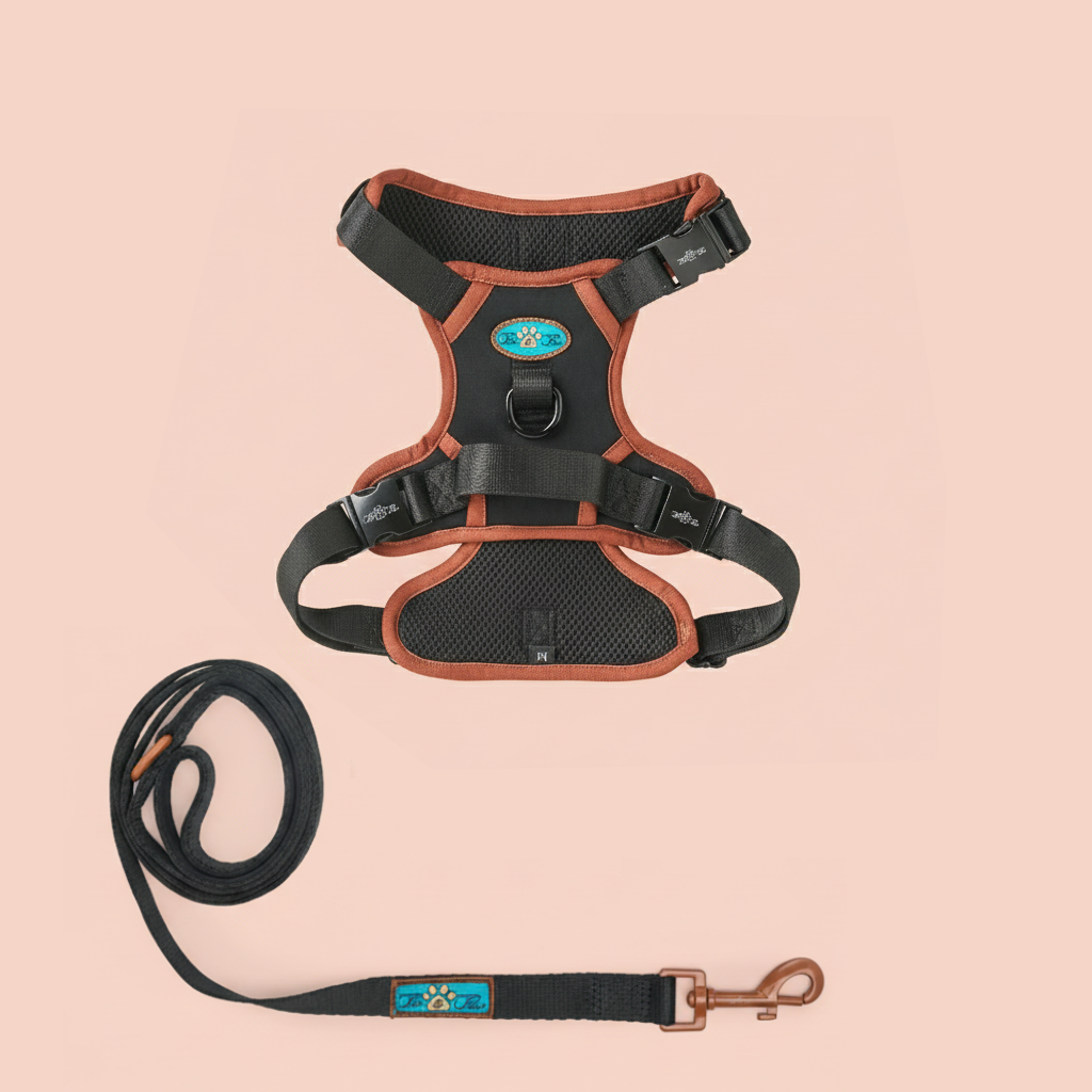 NOIR LE BRONZE - ADJUSTABLE HARNESS DUO SET