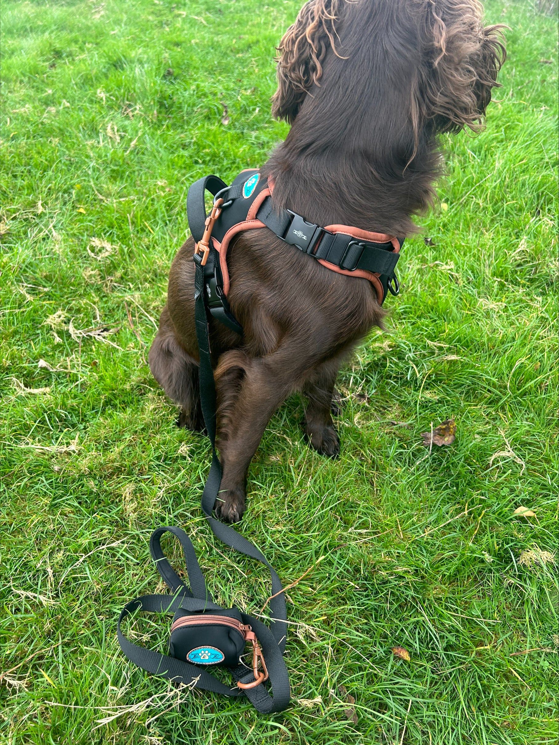 NOIR LE BRONZE TECHNICAL HARNESS