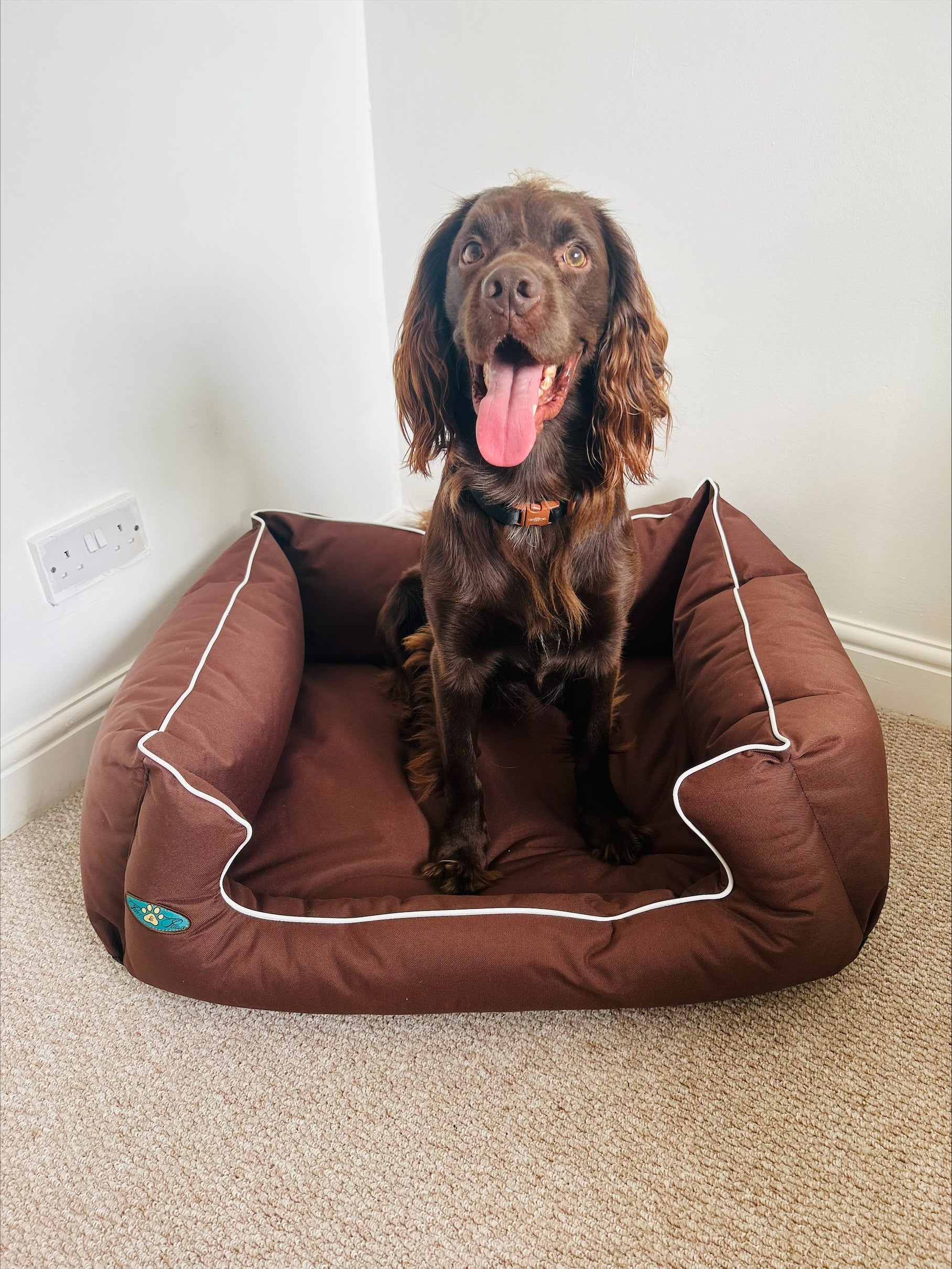 PET BEDS | PURR & PAWS LUXURY DOG BED MEMORY FOAM WATERPROOF DOG SETTEE