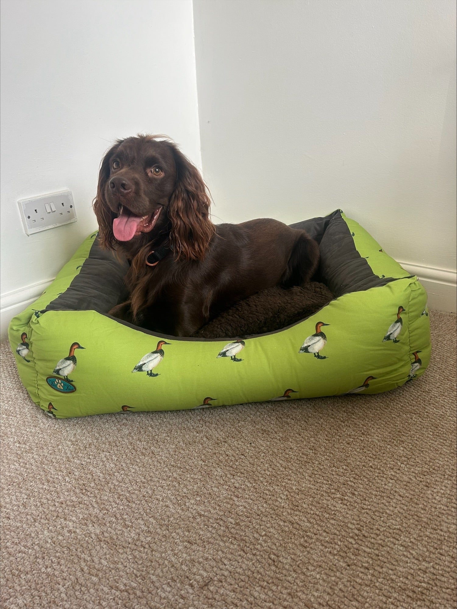 PET BEDS | PURR & PAWS NATURE  DOG BEDS / SETTEES