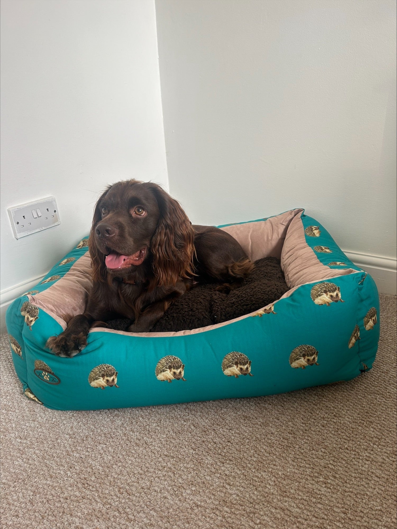 PET BEDS | PURR & PAWS NATURE  DOG BEDS / SETTEES