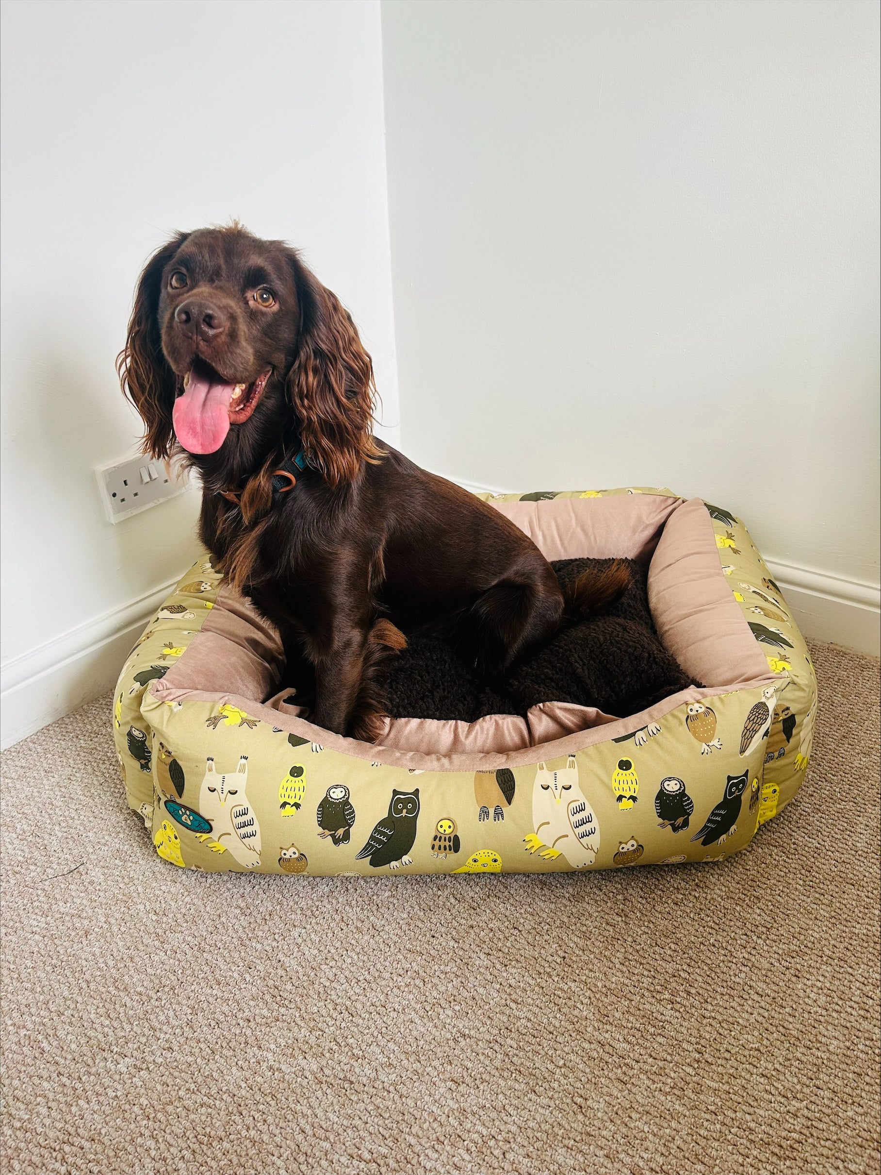 PET BEDS | PURR & PAWS NATURE  DOG BEDS / SETTEES