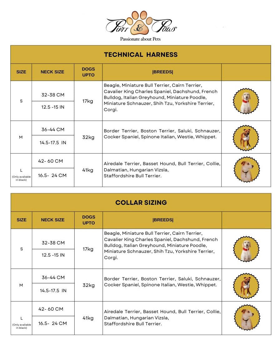 AZURE LE BRONZE - TECHNICAL HARNESS QUARTET SET
