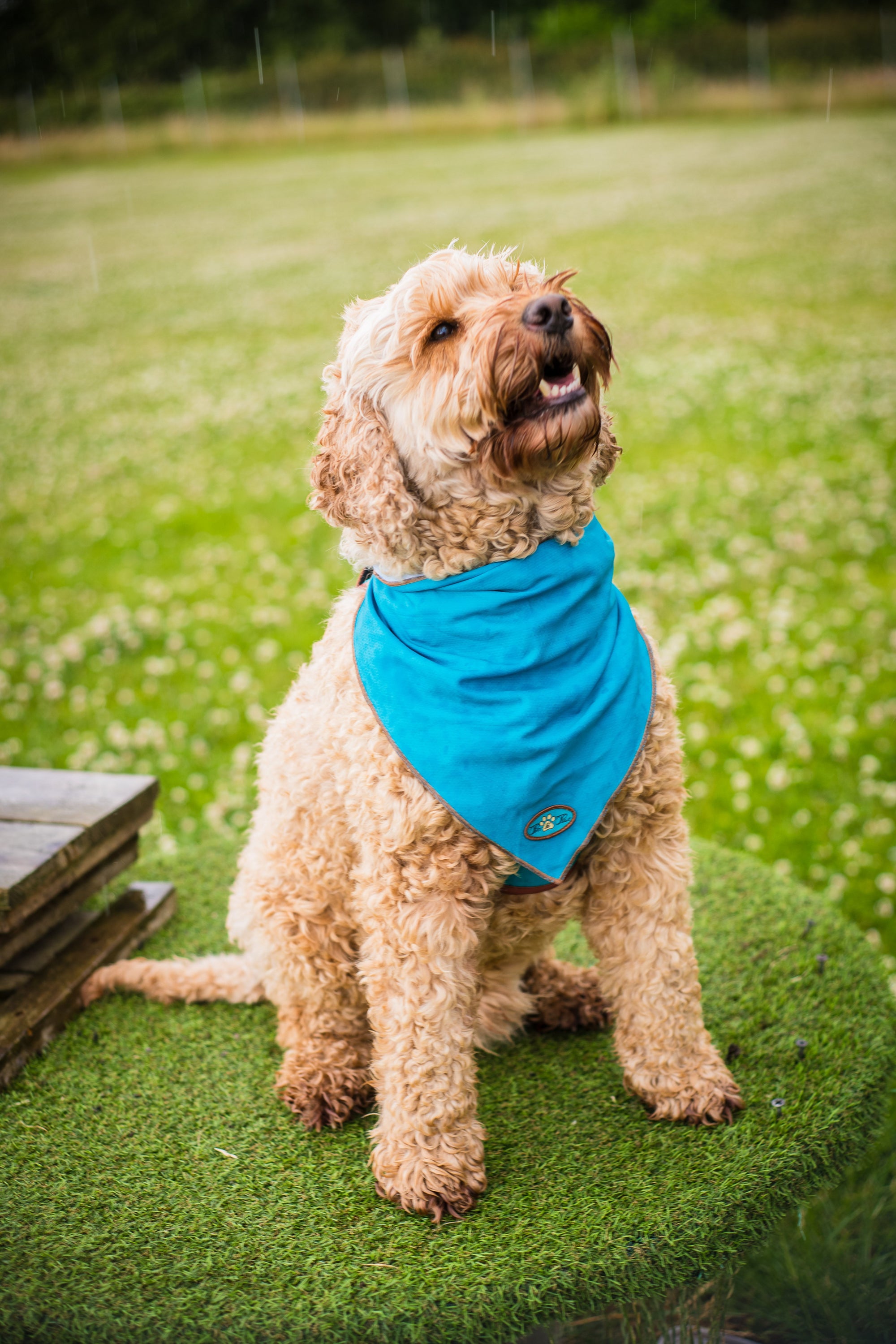 AZURE LE BRONZE COOLING BANDANNA