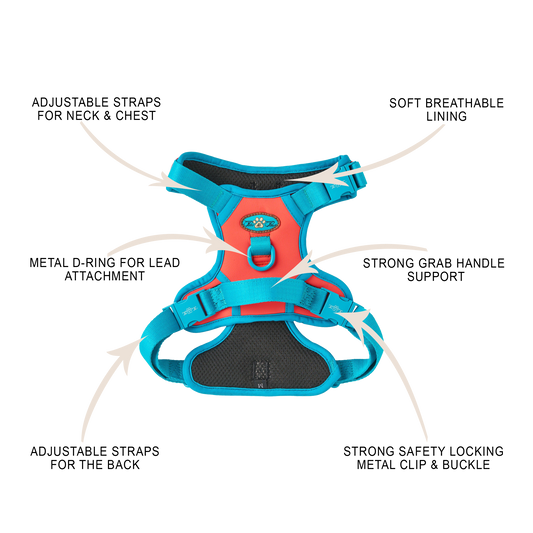 CITRUS AZURE TECHNICAL HARNESS