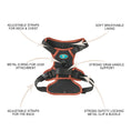 Load image into Gallery viewer, NOIR LE BRONZE - TECHNICAL HARNESS DUO SET
