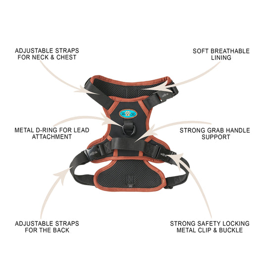 NOIR LE BRONZE - TECHNICAL HARNESS QUINTET SET