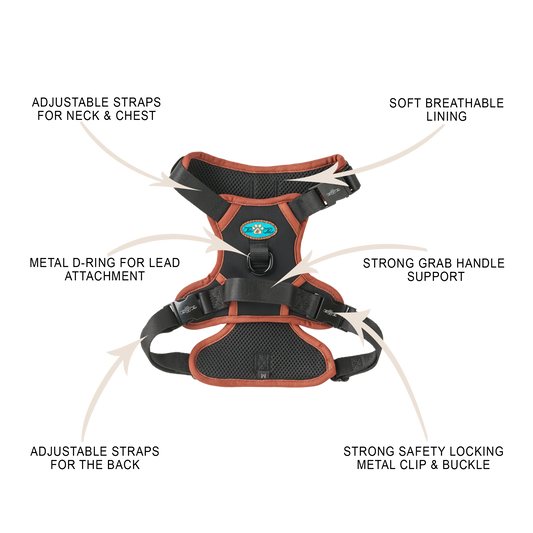 NOIR LE BRONZE TECHNICAL HARNESS