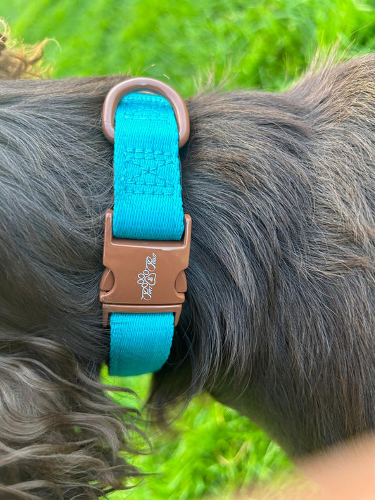 AZURE LE BRONZE LUXURY PADDED PRINTED COLLAR