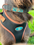 Load image into Gallery viewer, NOIR LE BRONZE ADJUSTABLE LUXURY PADDED HARNESS
