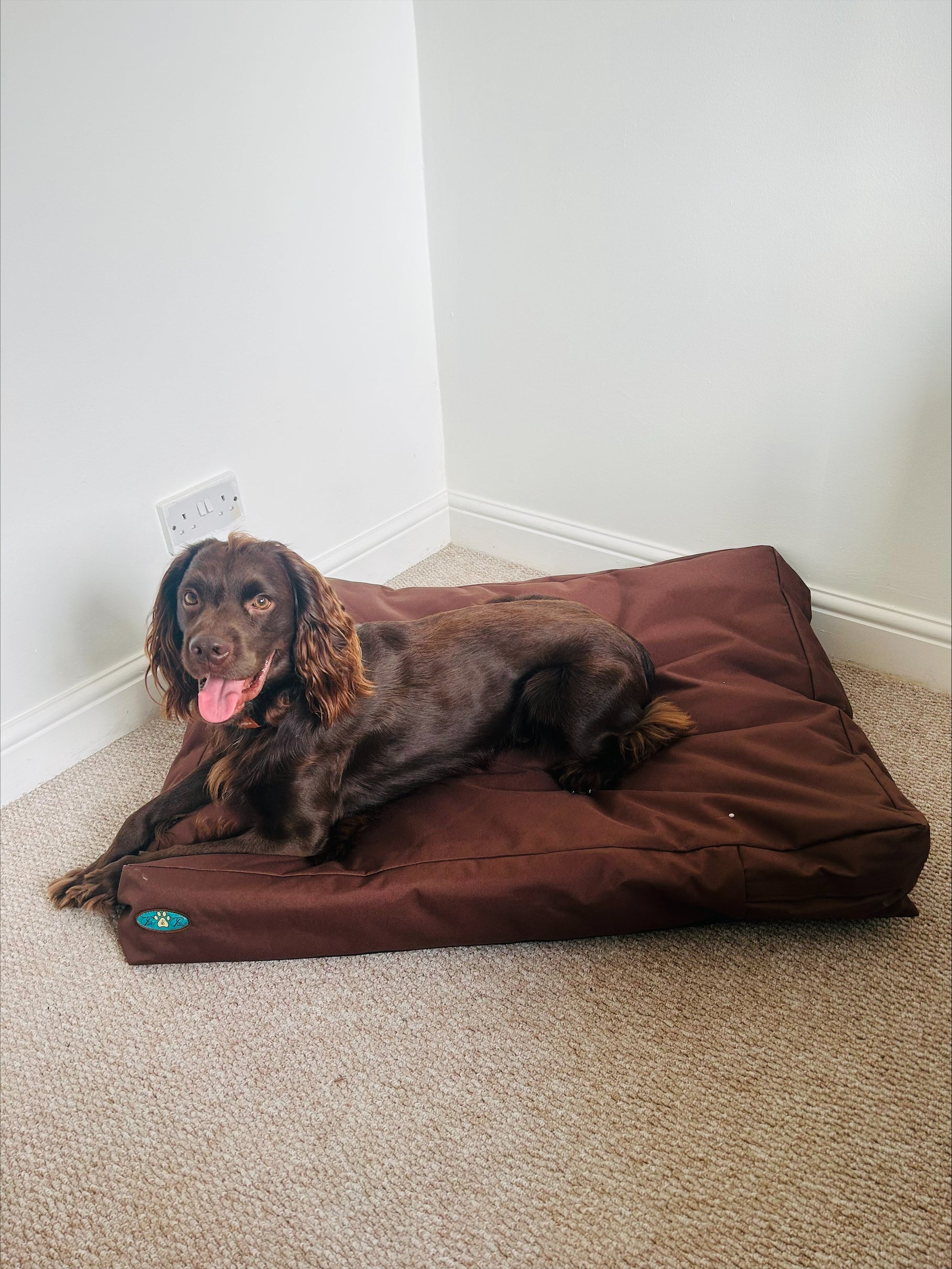 PET BEDS | PURR & PAWS WATERPROOF DOG BEDS