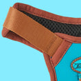 Load image into Gallery viewer, AZURE LE BRONZE - TECHNICAL HARNESS DUO SET
