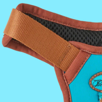 Gift Box - AZURE LE BRONZE ADJUSTABLE LUXURY HARNESS