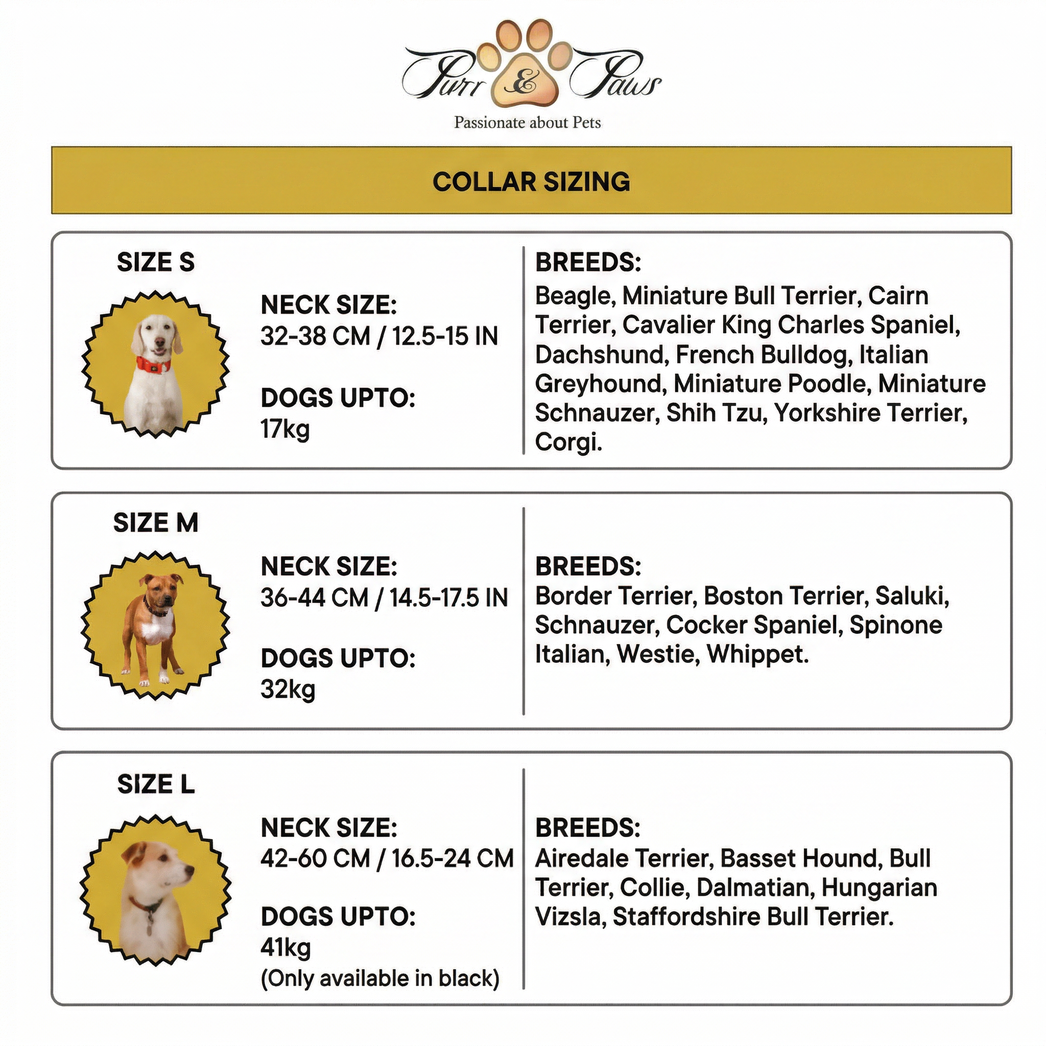 AZURE LE BRONZE - COLLAR & LEAD DUO