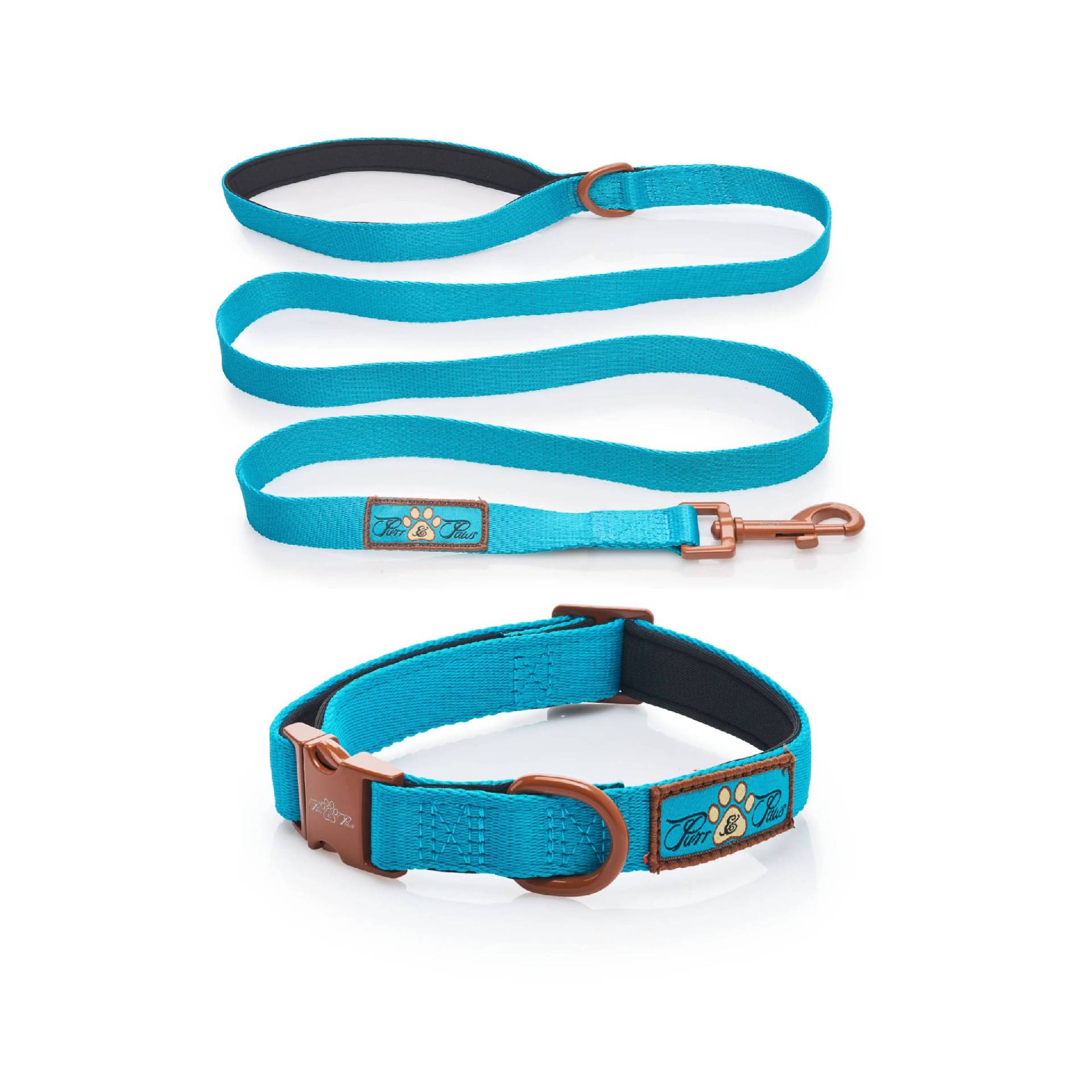 AZURE LE BRONZE - COLLAR & LEAD DUO