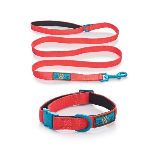 CITRUS AZURE - COLLAR & LEAD DUO